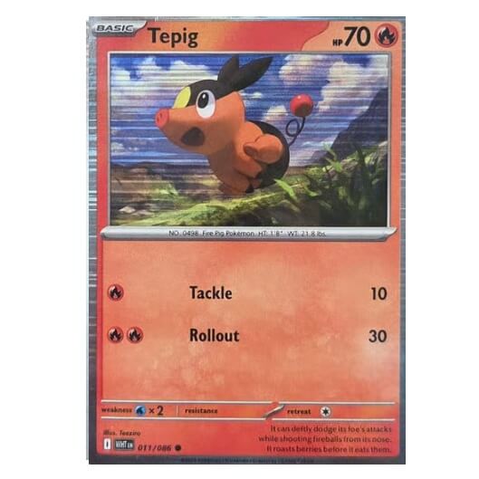 Pokémon promo card Tepig from Poster Collection Black and White
