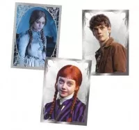Wednesday 2 - sticker box - 50 packs 4