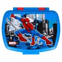 Spider-Man sandwich box