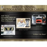 2024-2025 NHL Upper Deck The Cup Hobby Box - hockey cards