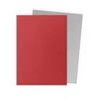 Card Sleeves Dragon Shield Matte Dual Sleeves - Crimson and Silver - 100 ks