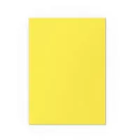 Card Sleeves Dragon Shield Matte Dual Sleeves - Yellow and Silver - 100 ks