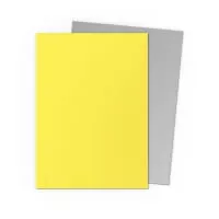 Card Sleeves Dragon Shield Matte Dual Sleeves - Yellow and Silver - 100 ks