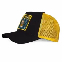 Pokemon Psyduck cap 