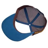 Pokémon coloured cap Eevee