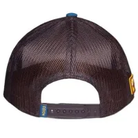 Pokémon coloured cap Eevee