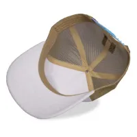 Pokémon cap Squirtle
