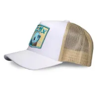 Pokémon cap Squirtle