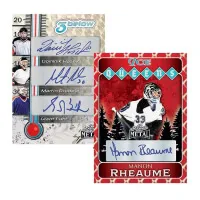 2025 Leaf Metal Hockey Cards