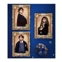 Letogoods Harry Potter - Sorcerer’s Stone Collectible Cards