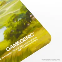  Prime Playmat Magic: The Gathering The Hobbit - The Shire